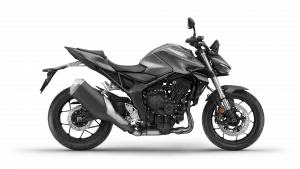 Honda CB1000 Hornet Matte Iridium Grey Metallic