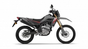 Honda CRF300L Swift Grey